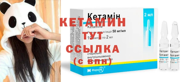 стаф Бородино