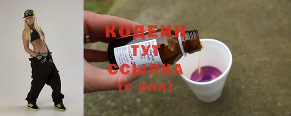 стаф Бородино