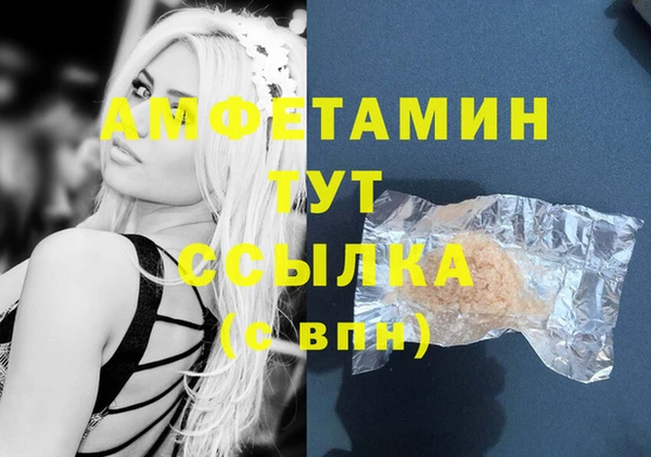 стаф Бородино