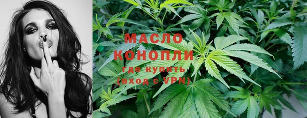 стаф Бородино