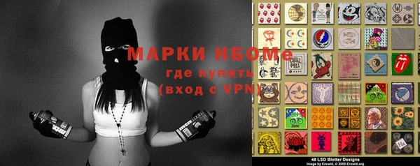 стаф Бородино