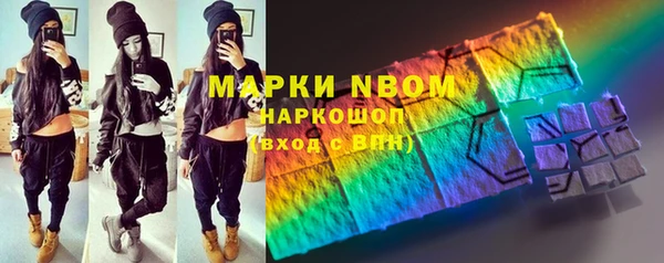 стаф Бородино