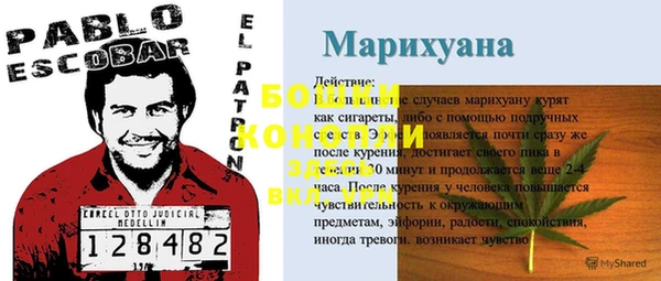 стаф Бородино