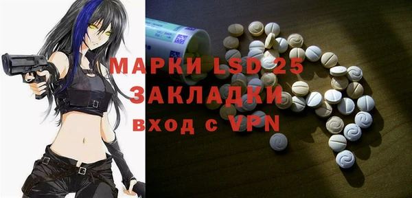 стаф Бородино