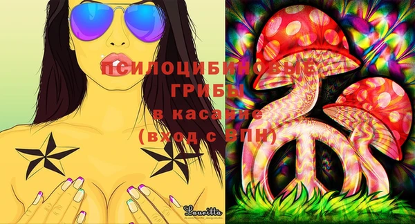 прущие крисы Бронницы